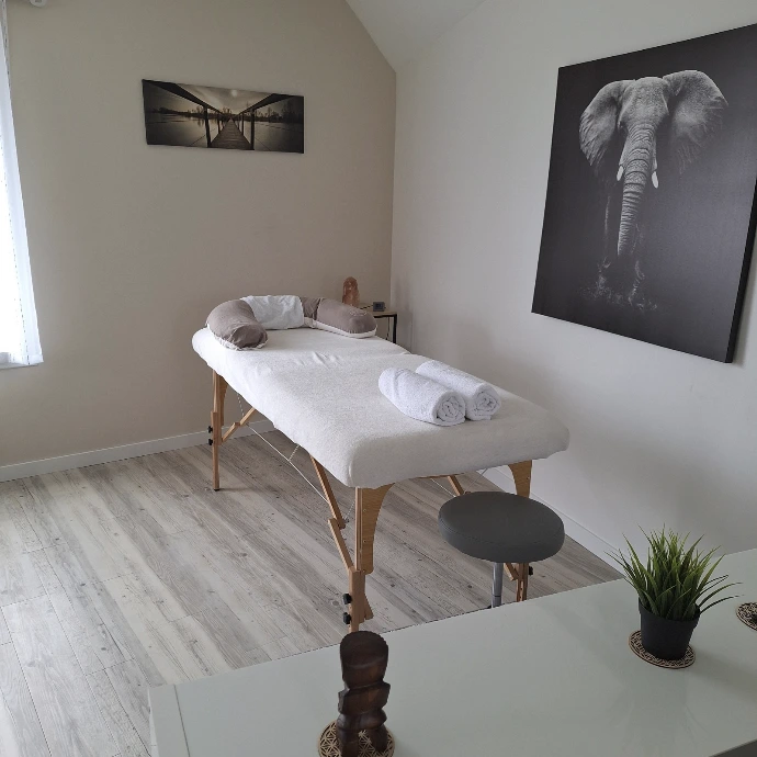 Cabinet de réflexologie Franck Boutheloup à Chécy